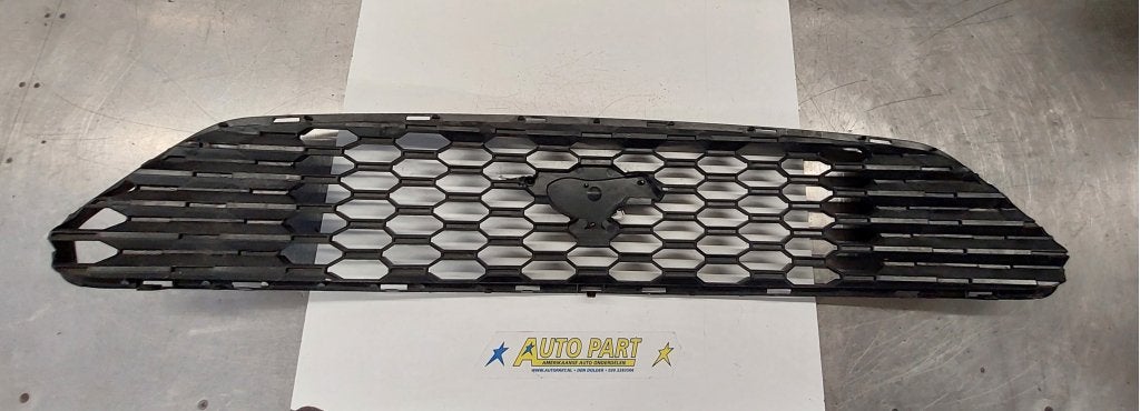 Foto 2 van Ford Mustang grille  2015-2017
