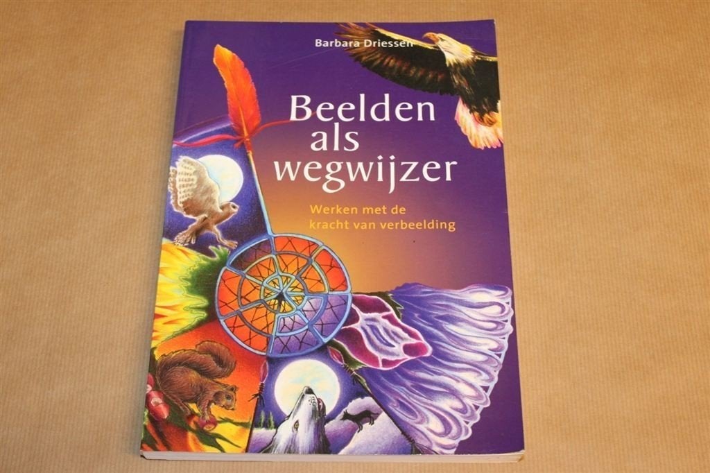 Beelden als wegwijzer - Werken met de kracht van verbeelding, Ophalen of Verzenden, Zo goed als nieuw, Overige onderwerpen, Achtergrond en Informatie