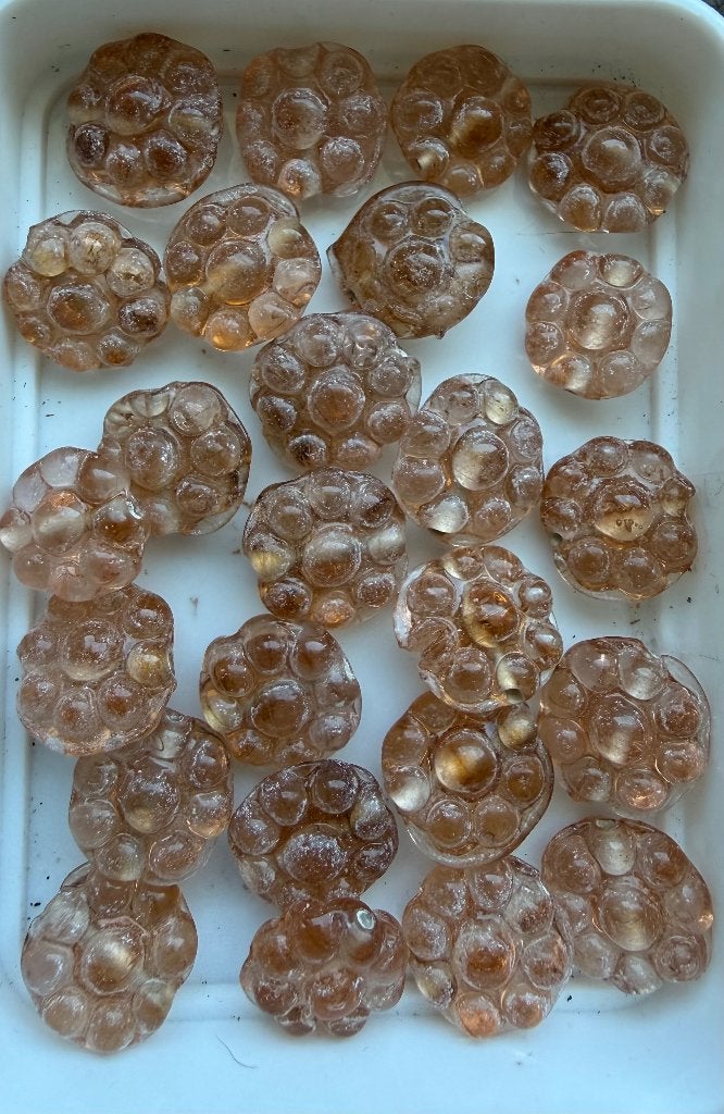 25 stuks Glazen Bloem/Noppen Kralen, Zalm-Amber-Rosé, Ophalen of Verzenden, Nieuw, Kraal