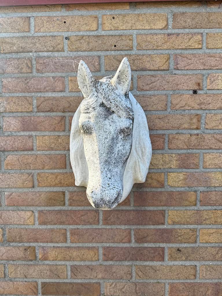 Decoratief Paardenhoofd voor Tuin of Muur, Ophalen of Verzenden, Gebruikt, Steen, Dierenbeeld