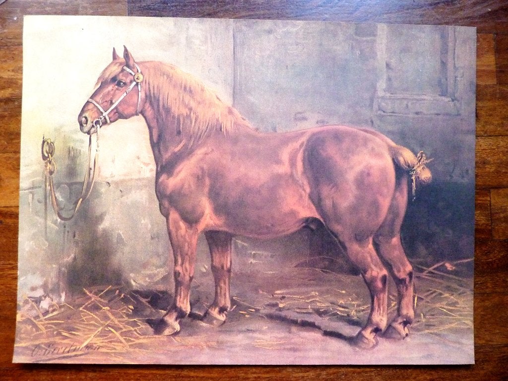 Prachtig Suffolk Paard van Otto Eerelman, Antiek en Kunst, Ophalen of Verzenden, Dieren en Natuur, Lithografie