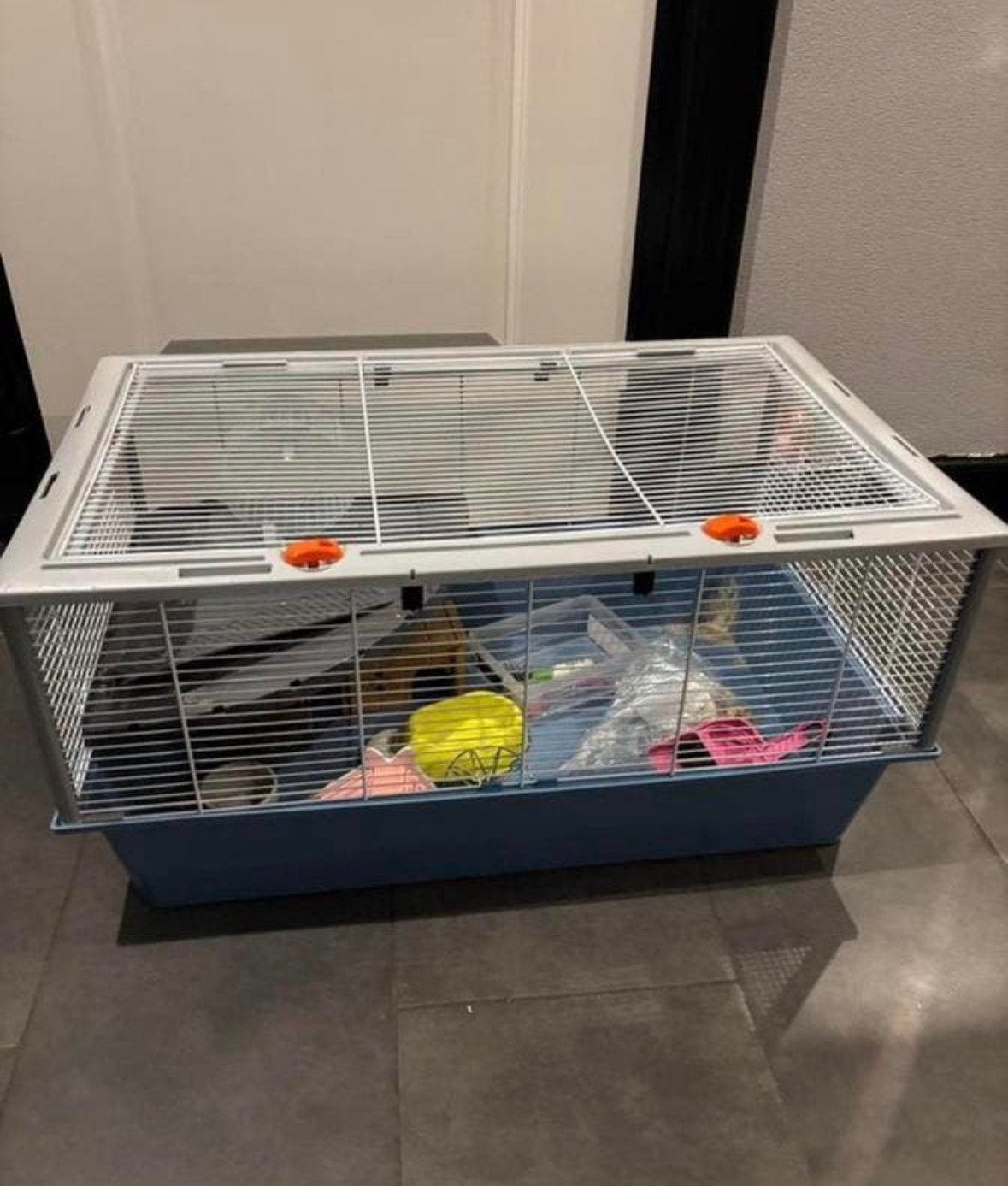 Hamsterkooi incl accessoires, Ophalen, 110 cm of meer, Zo goed als nieuw, 90 cm of meer