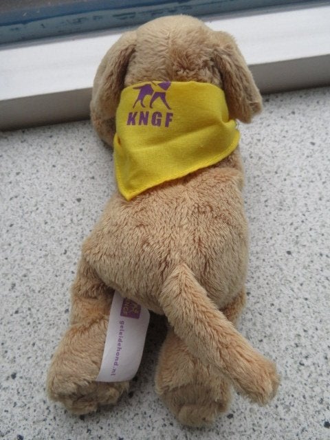 Hond hondje van KNGF geleidehond meet ca 20 cm, Ophalen of Verzenden, Zo goed als nieuw, Hond, Korrelvulling