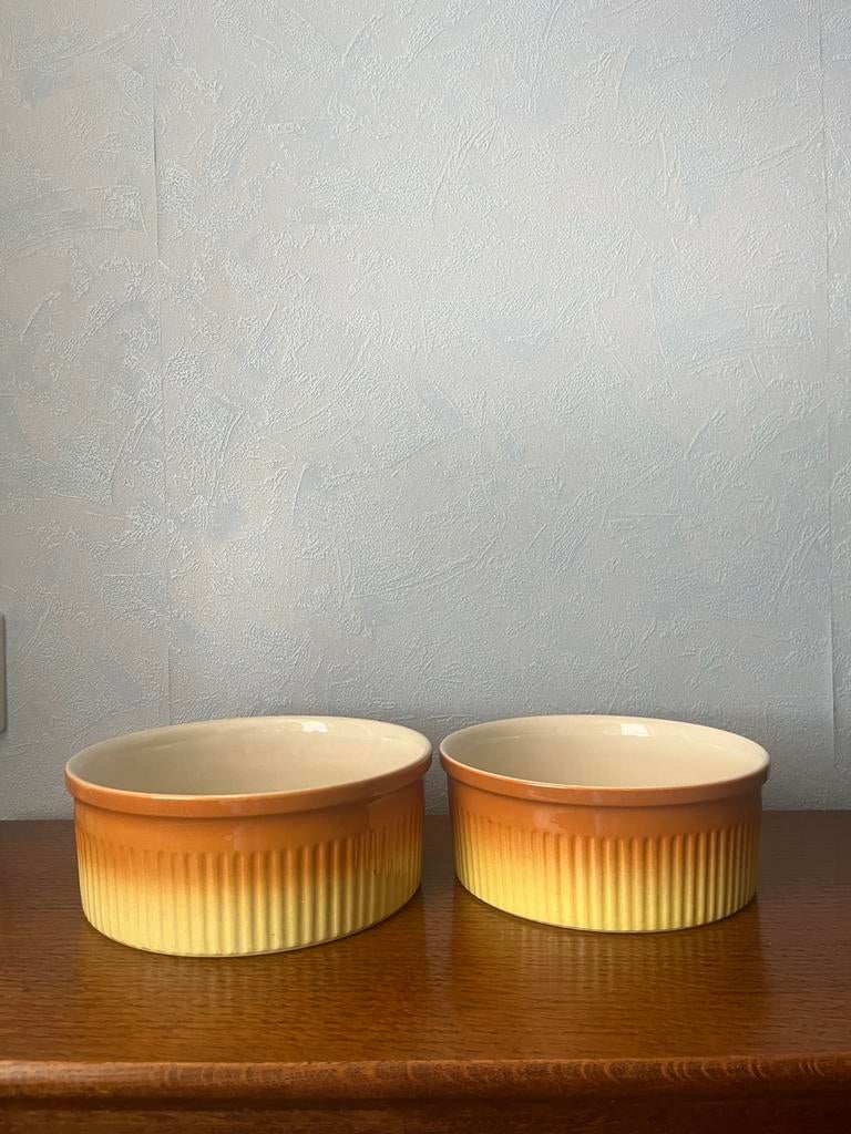 2 Petrus Regout Parafeu ovenschalen, Ophalen of Verzenden