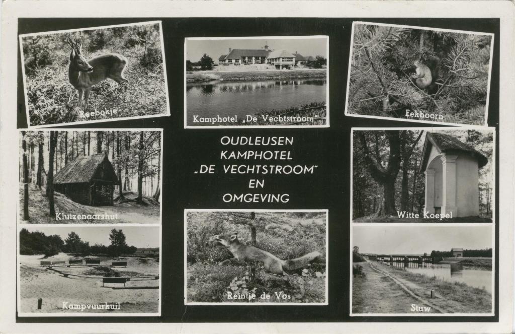 Oudleusen  8 luik De Vechtstrrom, Verzamelen, Ansichtkaarten | Nederland, Verzenden, 1940 tot 1960, Ongelopen, Overijssel