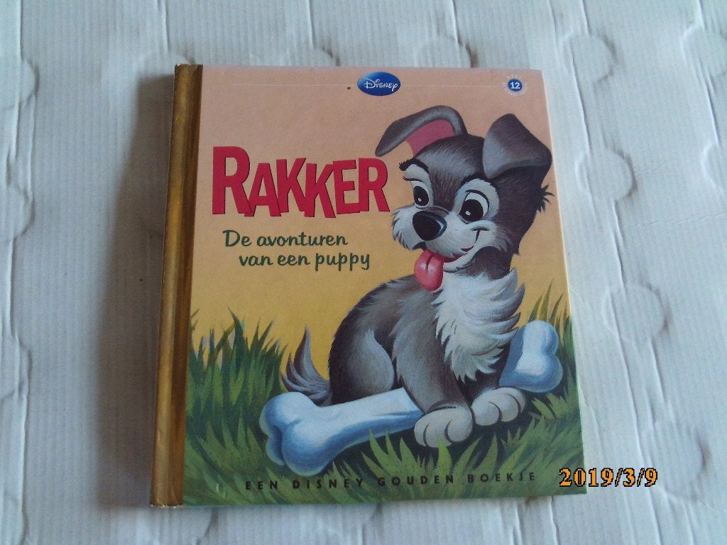 een disney gouden boekje rakker, Ophalen of Verzenden, Zo goed als nieuw, Fictie algemeen