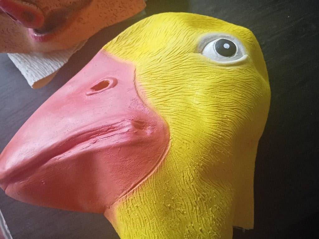 Verschillende dierenmaskers, Ophalen of Verzenden, Zo goed als nieuw, Feestartikel, Carnaval