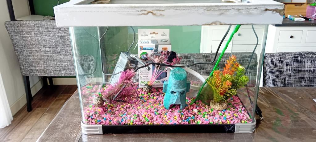 Mooie vissenkom met toebehoren pomp en decoratie, Ophalen, Zo goed als nieuw, Leeg aquarium