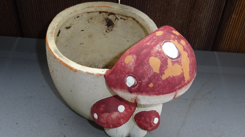 Paddenstoel Tuinbloempotje Van Aardewerk., Tuin en Terras, Tuinbeelden, Ophalen of Verzenden, Gebruikt, Overige materialen, Overige typen