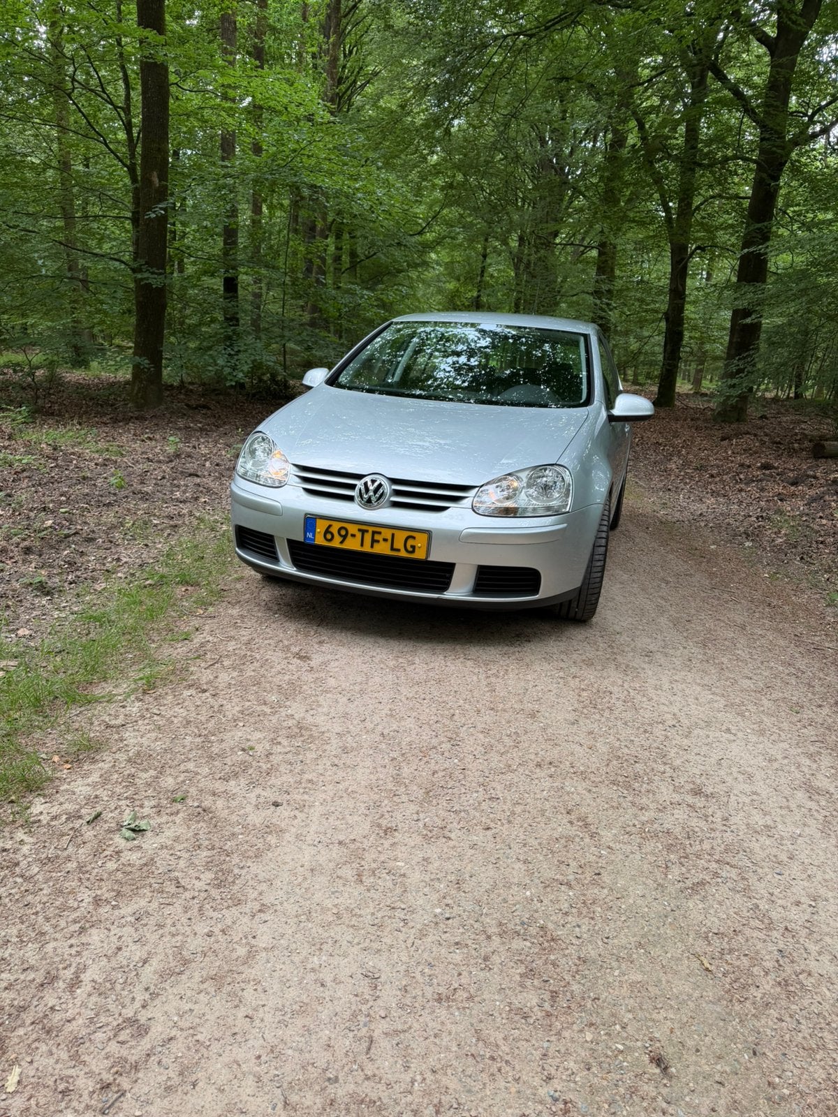 Volkswagen Golf 1.6 16V FSI 85KW 5D 2006 Grijs, Voorwielaandrijving, 1195 kg, 4 cilinders, 620 kg
