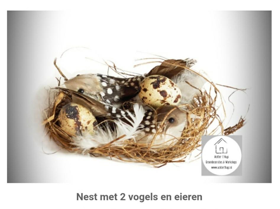 Nest met 2 vogels en eieren  - voorjaar  - pasen - krans, Diversen, Pasen, Nieuw, Ophalen of Verzenden