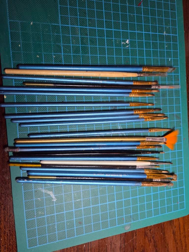 Set van diverse penselen voor schilderen, Ophalen of Verzenden, Gebruikt, Penseel of Kwast