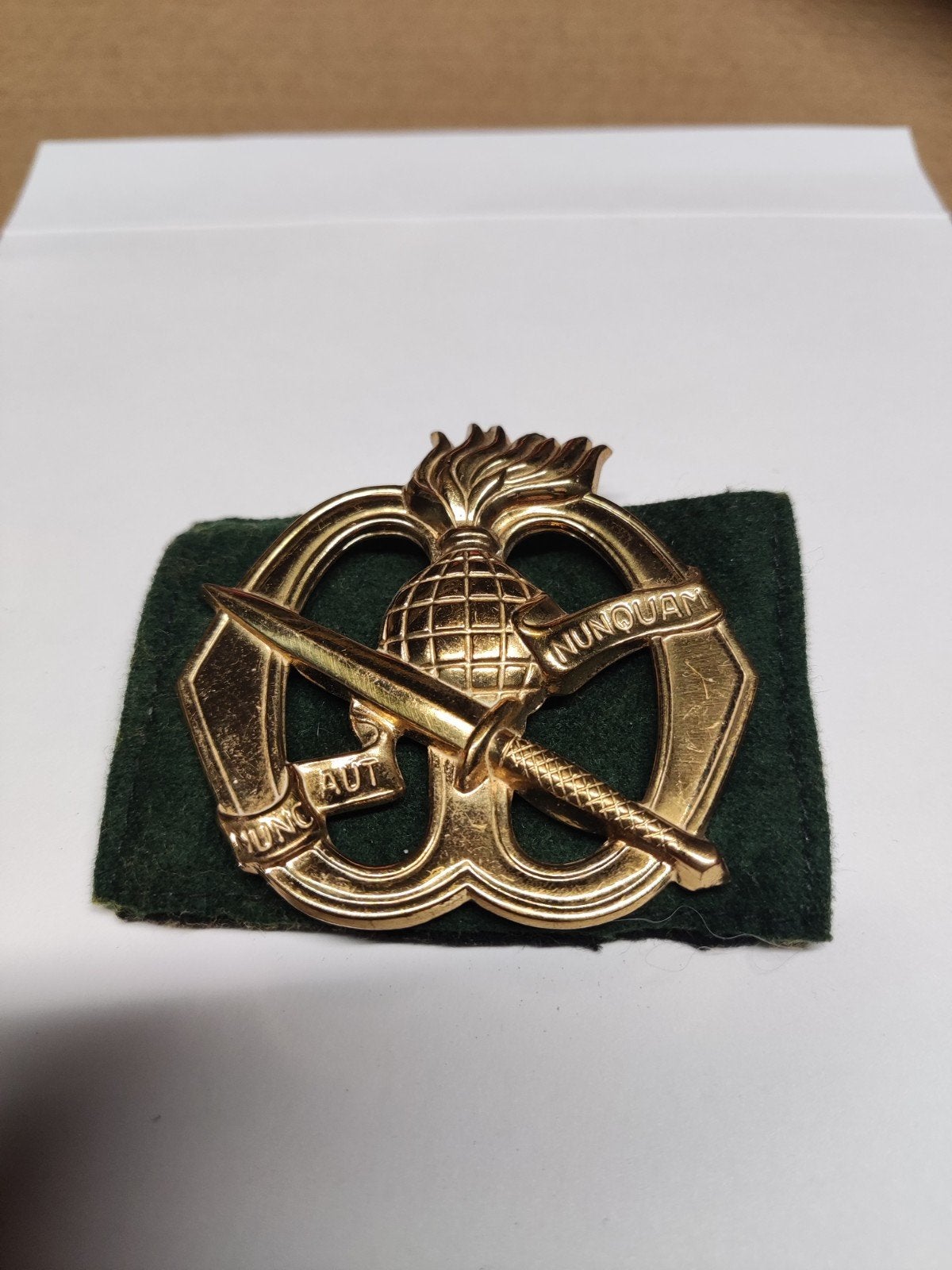 Nuncaut Nunquam met dunne wrns oogjes, Ophalen of Verzenden, Landmacht, Nederland, Embleem of Badge