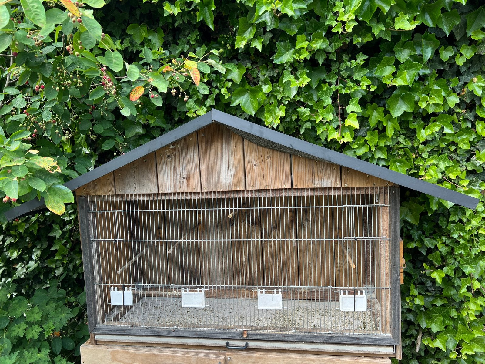 Vogelhok, Dieren en Toebehoren, Ophalen, Hout, Vogelkooi