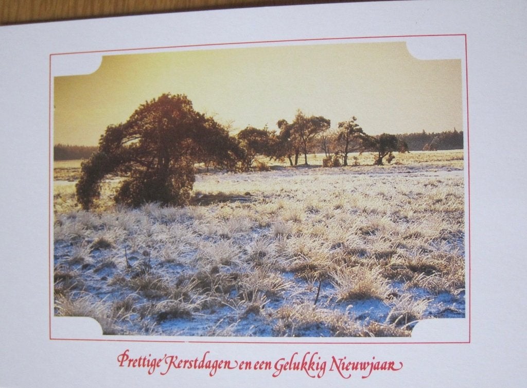 Voor het kind - bomen in winterlandschap - Kerst - 1989, Verzenden, 1980 tot heden, Ongelopen, Seizoenen