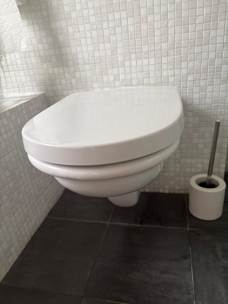 Sanitair - toilet, Doe-het-zelf en Verbouw, Sanitair, Ophalen, Gebruikt, Toilet