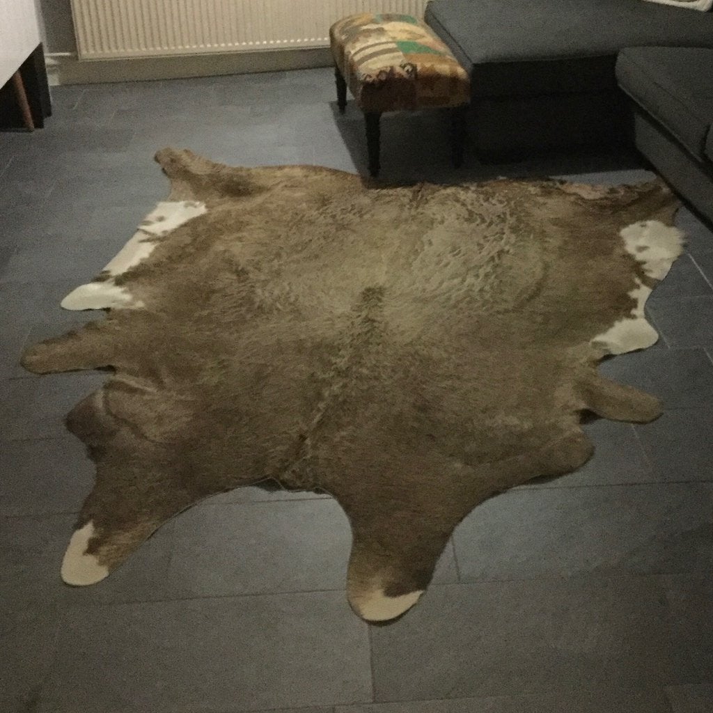 Vloerkleed koeienhuid, Ophalen, Gebruikt, 150 tot 200 cm, 200 cm of meer