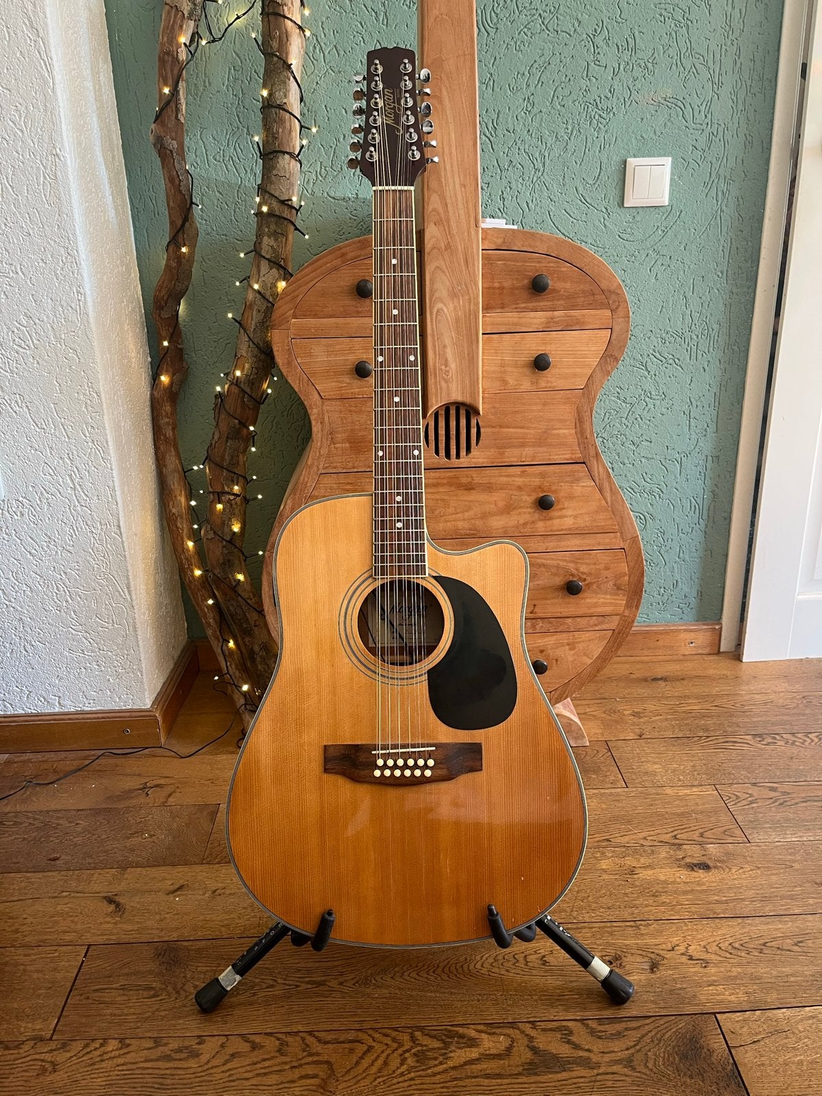 Morgan WG-12CE 12-snarige Westerngitaar met element, Ophalen, Zo goed als nieuw, Western- of Steelstringgitaar, 12-snarig