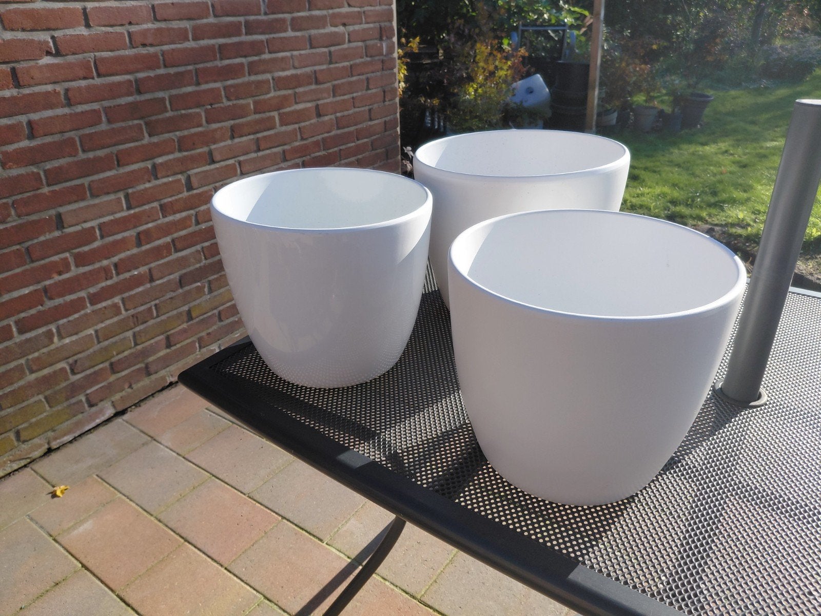 3 grote binnenpotten, Ophalen, Halfschaduw, Minder dan 100 cm