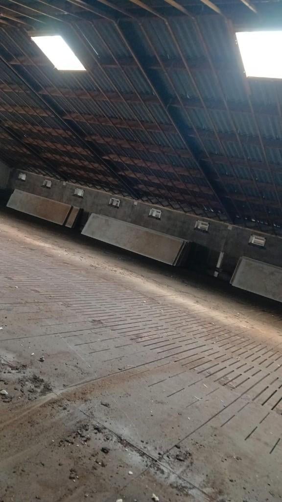 Complete prefab stal [246], Meerdere dieren, Schaap