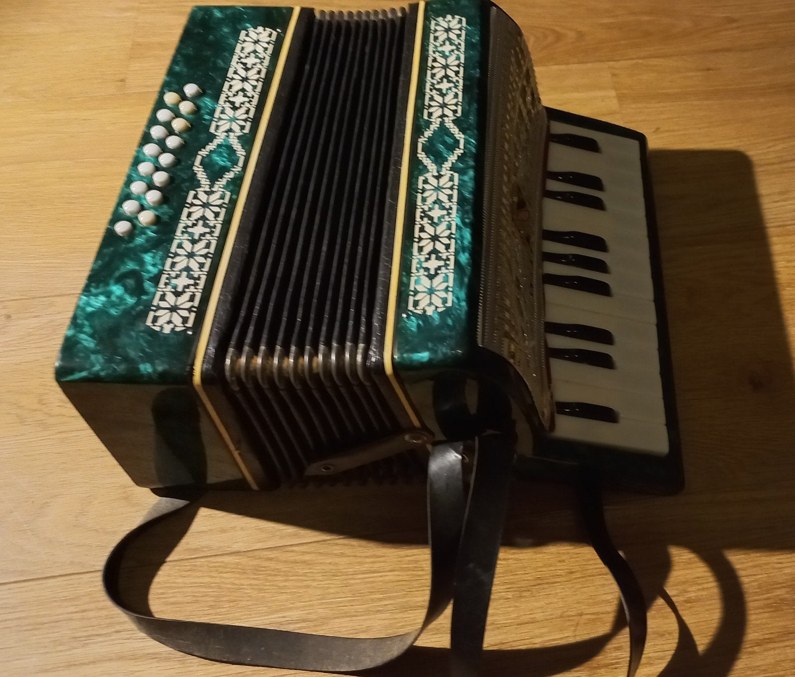 Vintage Accordeon uit de USSR - Groen met Koffer, Gebruikt, Overige formaten, Met koffer, Toetsaccordeon