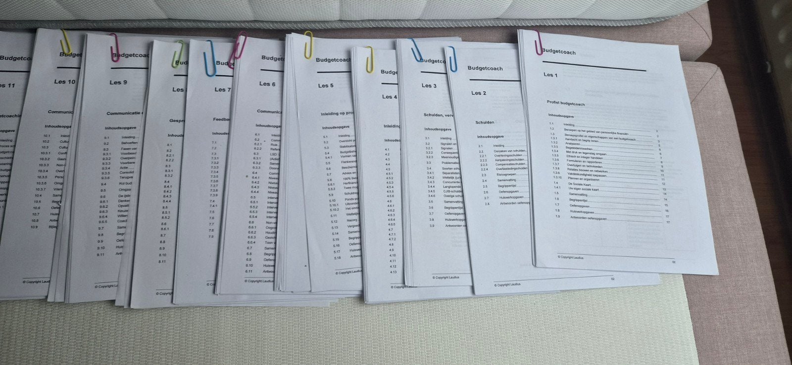 Laudius cursus bugetcoach, Boeken, Studieboeken en Cursussen, MBO, Alpha, Ophalen of Verzenden