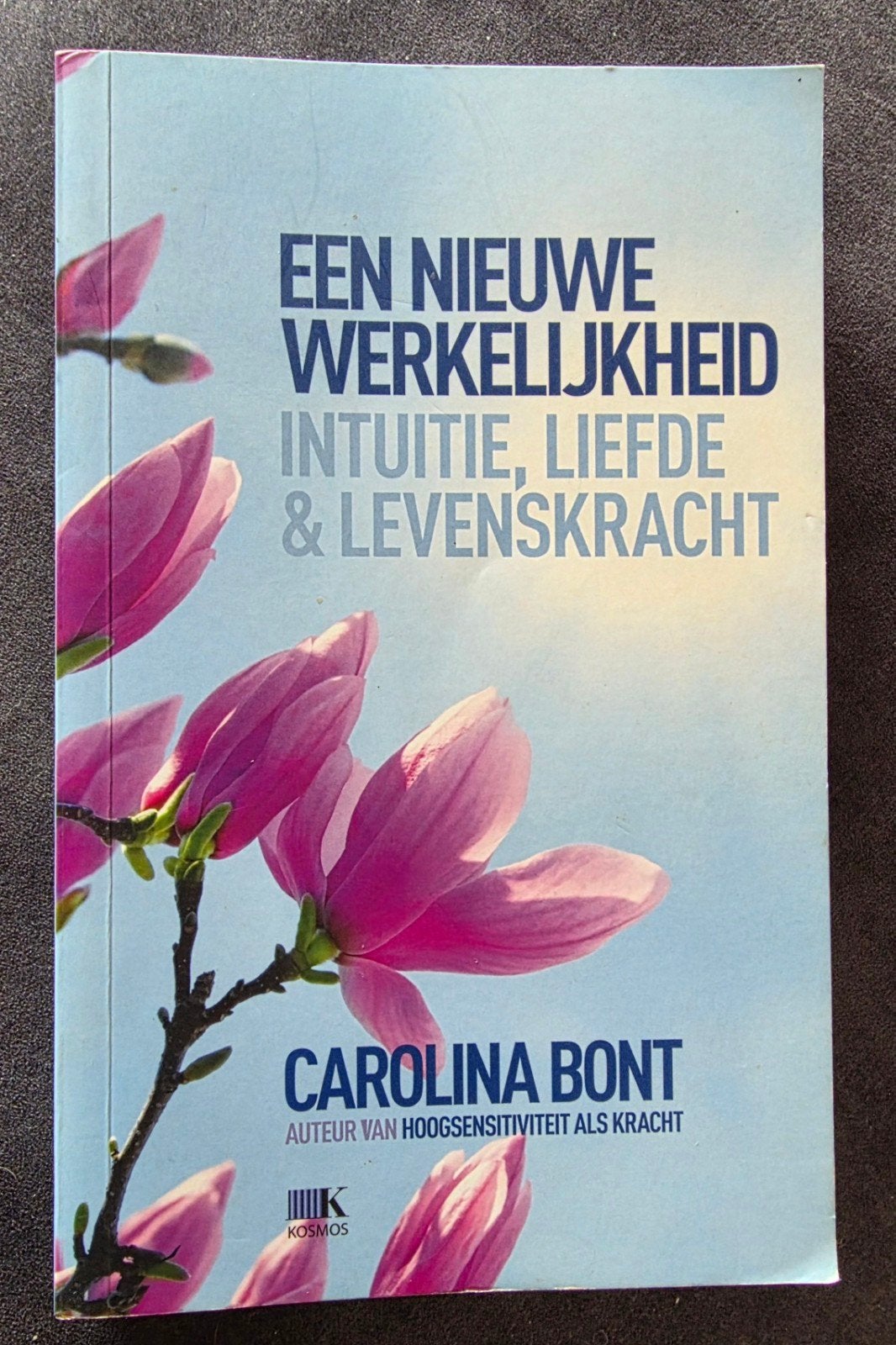 Een Nieuwe Werkelijkheid: Intuïtie, Liefde & Levenskracht, Ophalen of Verzenden