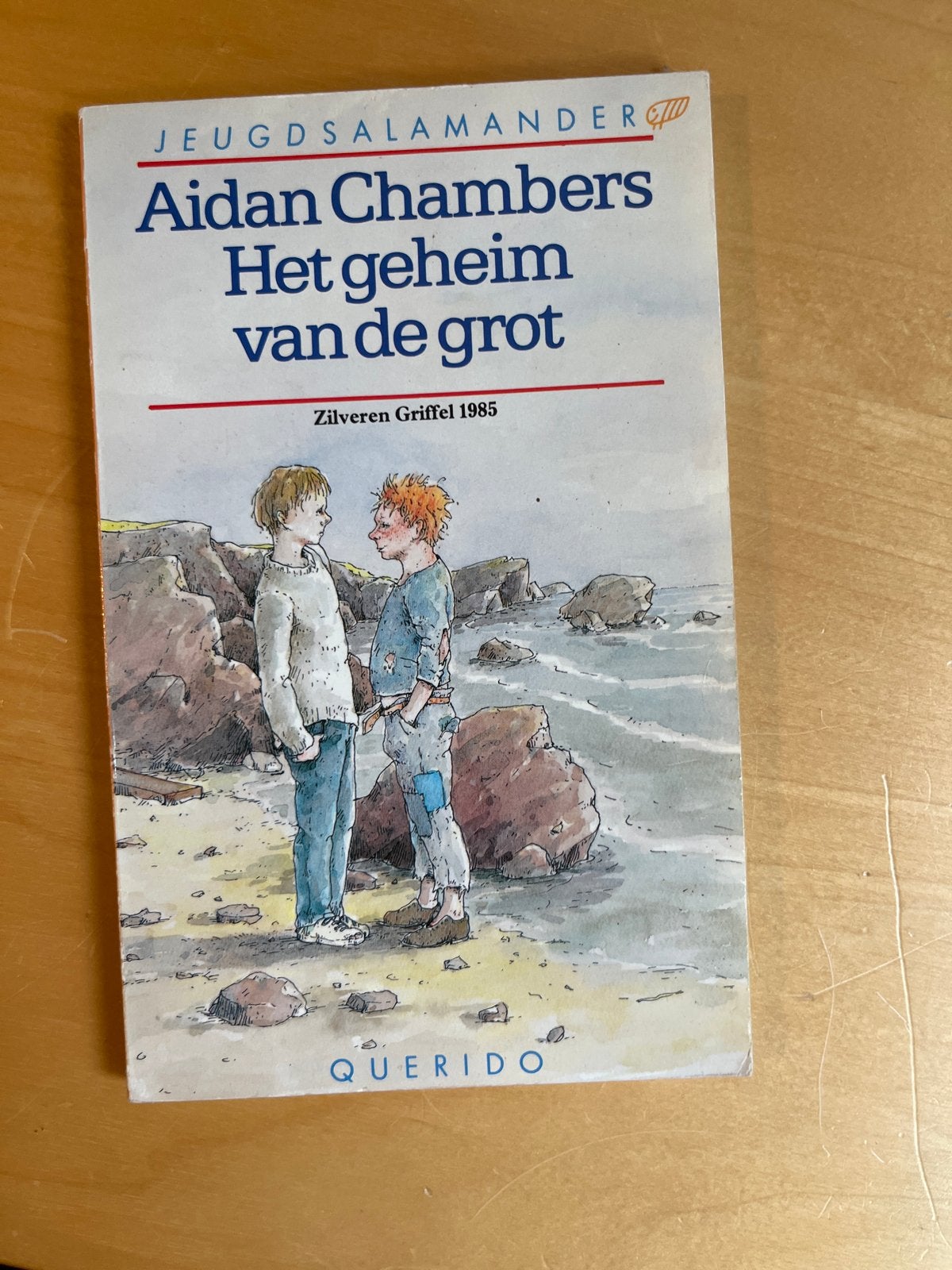 Aidan Chambers - Het geheim van de grot (Jeugdsalamander), Boeken, Ophalen of Verzenden, Gelezen, Fictie