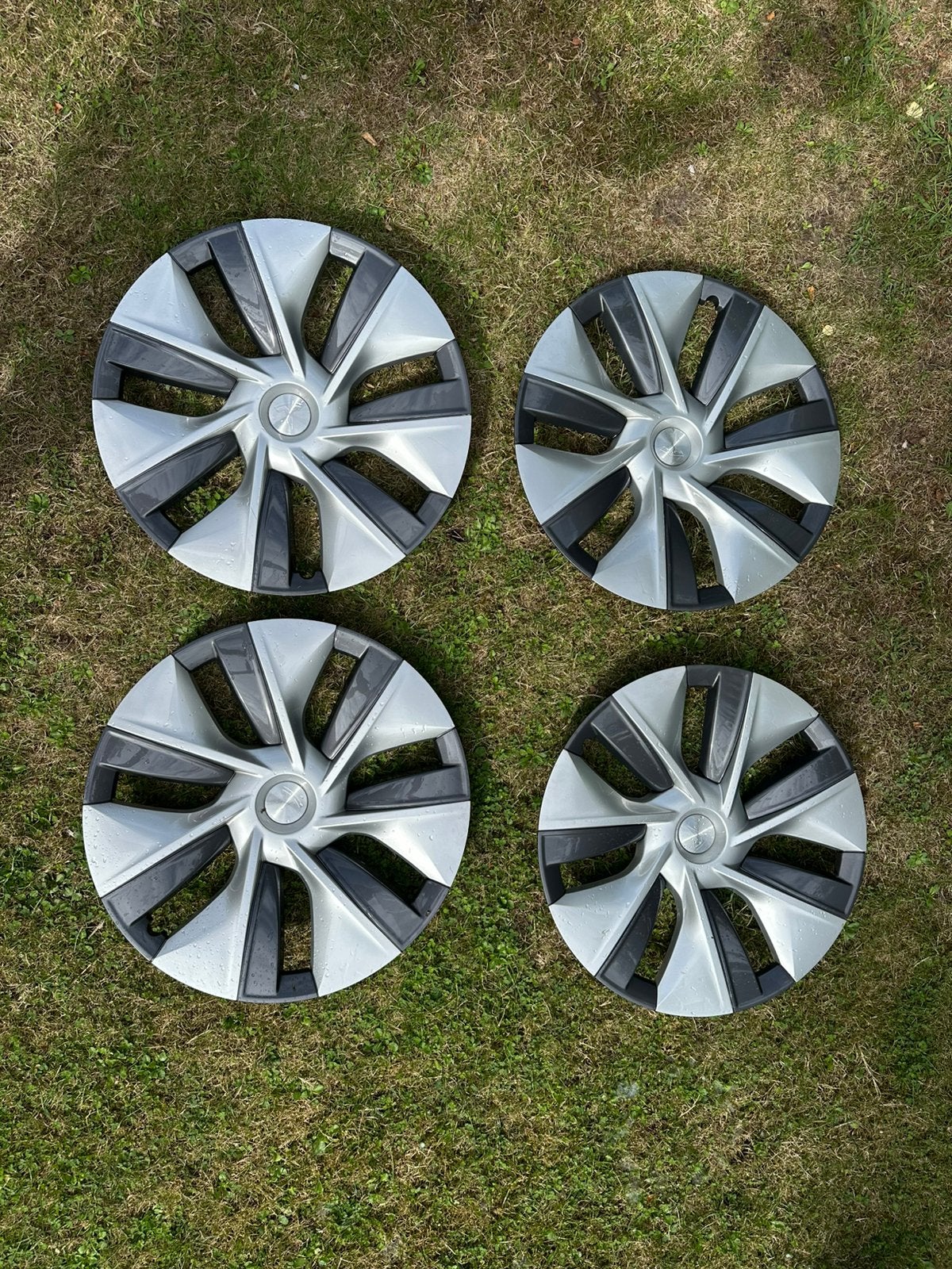Originele tesla y wieldoppen 19 inch, Ophalen, Zo goed als nieuw