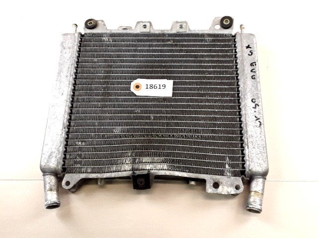 X9 500 Evolution 2005 - 2013 Piaggio Radiator D1-35081