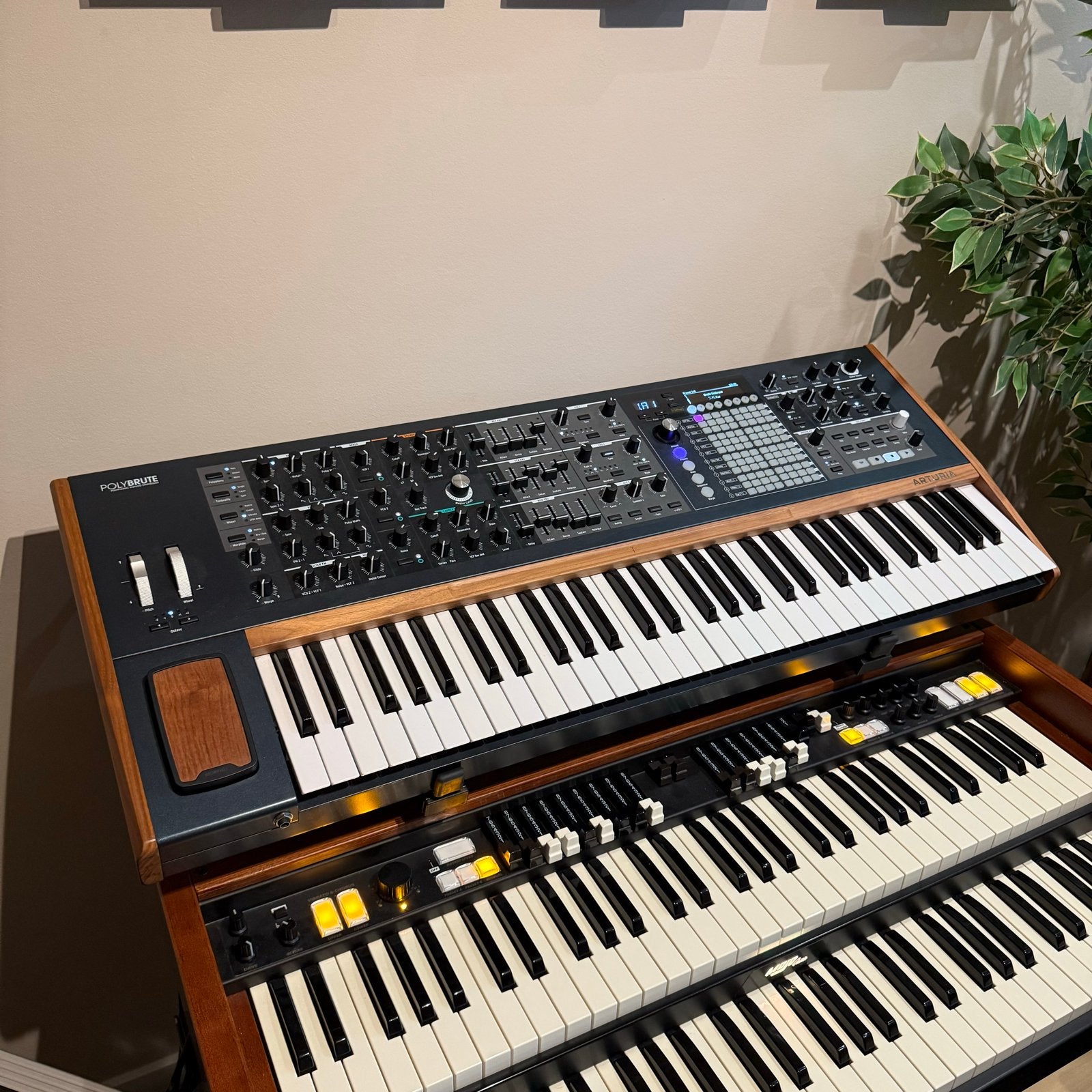 Arturia PolyBrute Analoge Synth - Zo goed als nieuw, Muziek en Instrumenten, 61 toetsen, Met midi-aansluiting, Zo goed als nieuw
