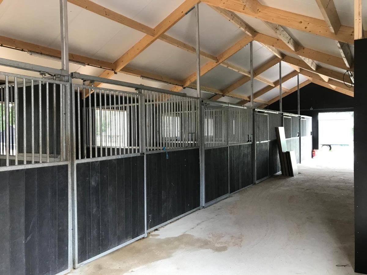 Paardenstalling in Garderen, 2 of 3 paarden of pony's, ., ., Weidegang