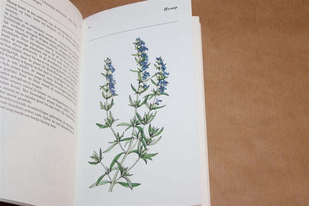 Kruiden uit de Natuur — Sesam — Kruidentuin naar Keuken, Boeken, Ophalen of Verzenden, Gelezen, Bloemen, Planten en Bomen