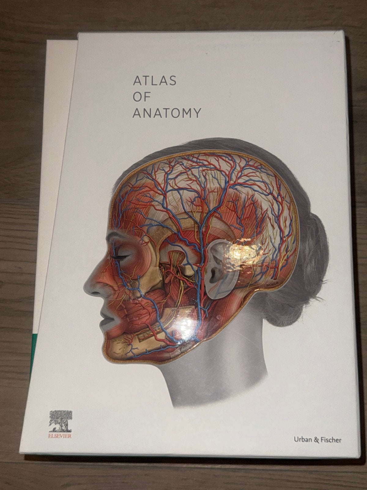 Sobotta Atlas of Anatomy - 17e editie (3 delen), Ophalen of Verzenden, Beta, Zo goed als nieuw, WO