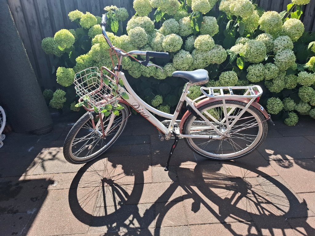 Meisjesfiets 26", Terugtraprem, Gebruikt, Versnellingen, Batavus