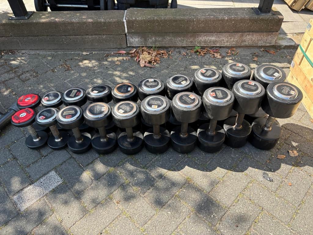 Hammer strength rubberen dumbbells 2-20 kg gewichten, Sport en Fitness, Fitnessmaterialen, Ophalen, Dumbbell, Gebruikt, Dumbbells