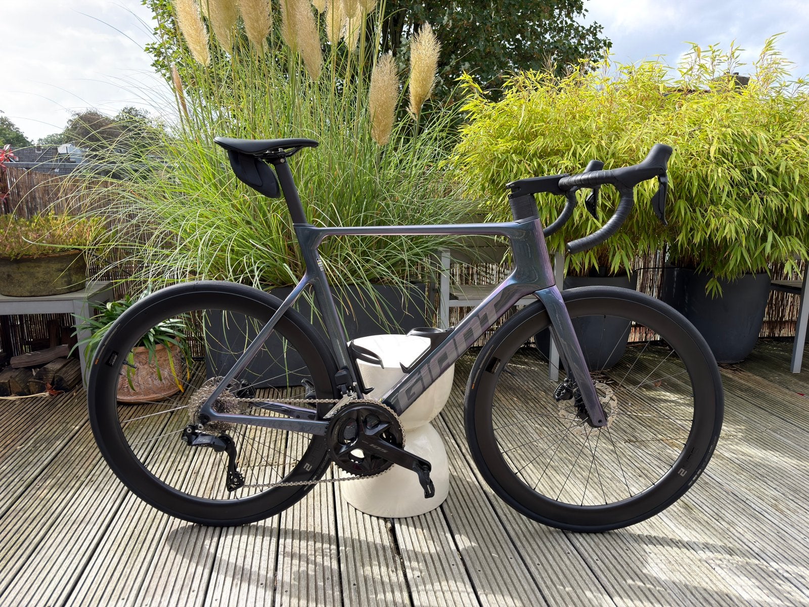Giant Propel Advanced 1 2025 | 105 Di2 | L | ZGAN