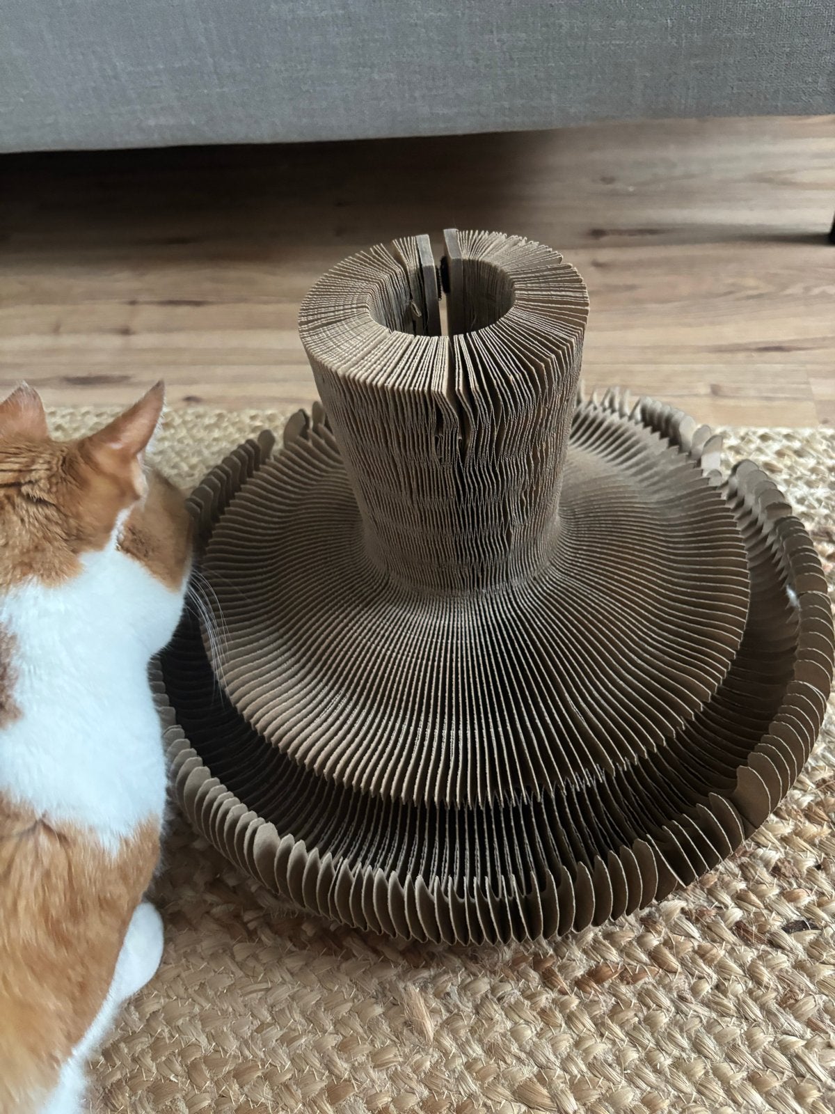 Cat’s toy, Ophalen of Verzenden, Gebruikt