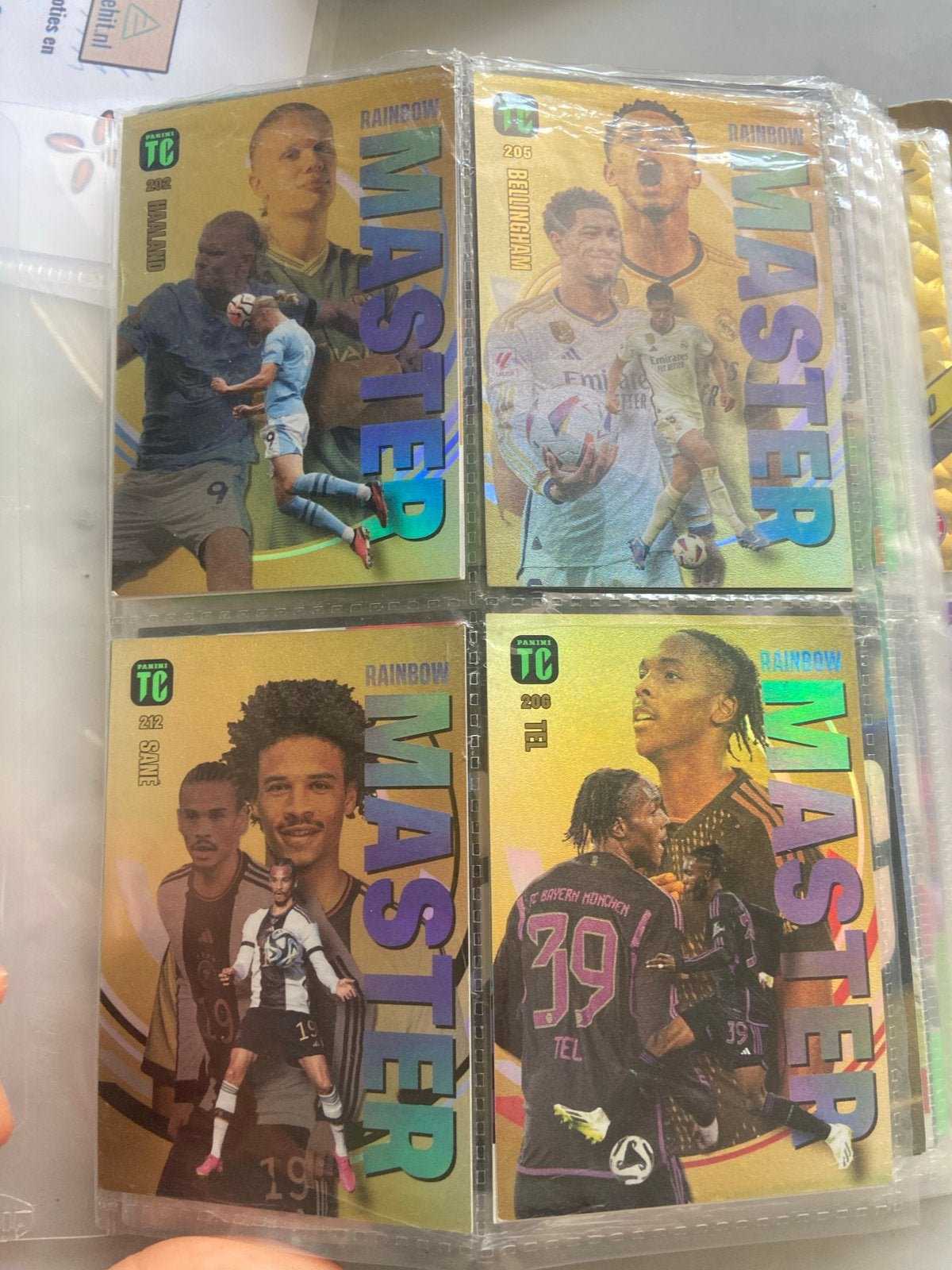 Panini Voetbalkaarten Collectie + Mapje, Verzenden, Zo goed als nieuw, Overige sporten, Spelerskaart