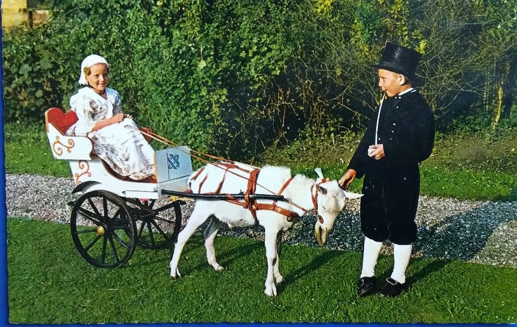 Friese klederdracht. Geit. 1965. Klf, Verzenden, 1960 tot 1980, Gelopen, Overige soorten