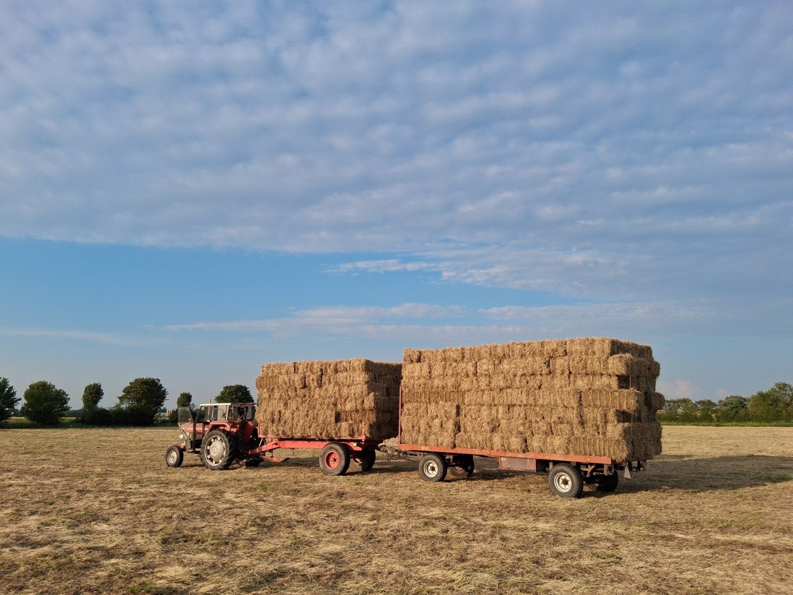Weide hooi te koop, Dieren en Toebehoren, Stalling en Weidegang