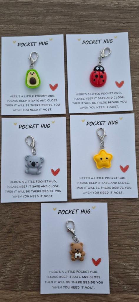 Pocket Hug sleutelhangers - Troost en steun, Ophalen of Verzenden, Nieuw