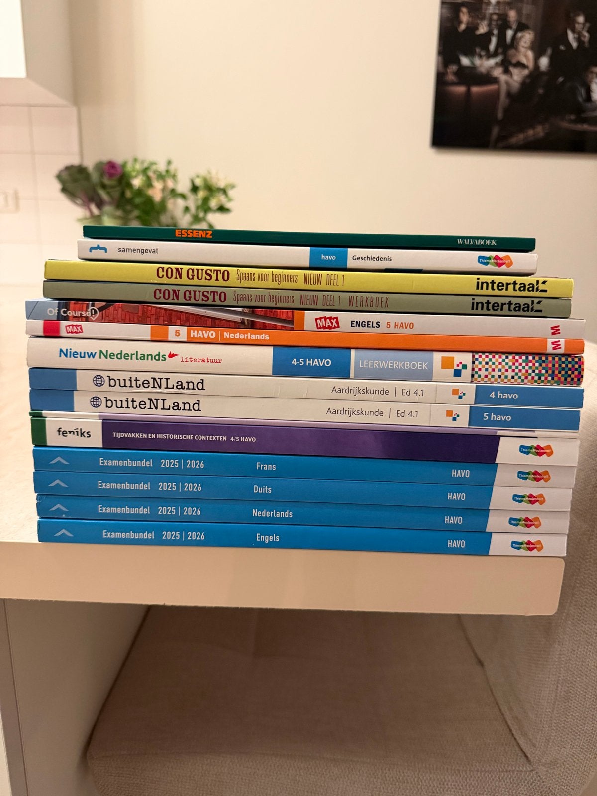 Schoolboeken HAVO 4/5 - Diverse vakken, Boeken, Ophalen, Gelezen, HAVO, Nederlands