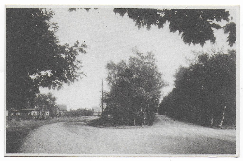 Ermelo Koningin Emmalaan Ongelopen Ansichtkaart ( B6940 }, Ophalen of Verzenden, 1940 tot 1960, Ongelopen, Gelderland
