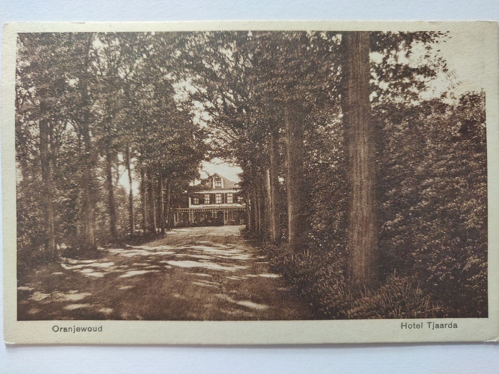 C1035 Oranjewoud, Ophalen of Verzenden, 1920 tot 1940