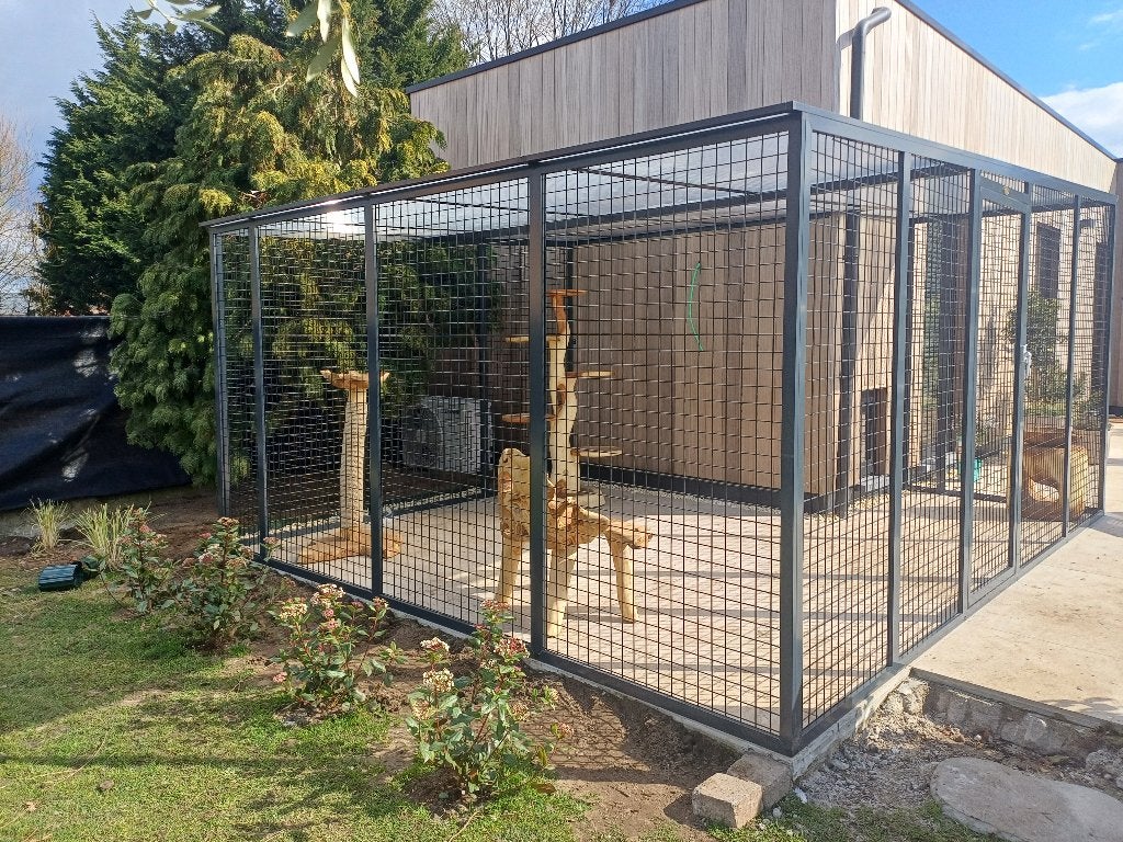 Kattenren België | Maatwerk | Duurzame materialen, Ophalen of Verzenden, Nieuw