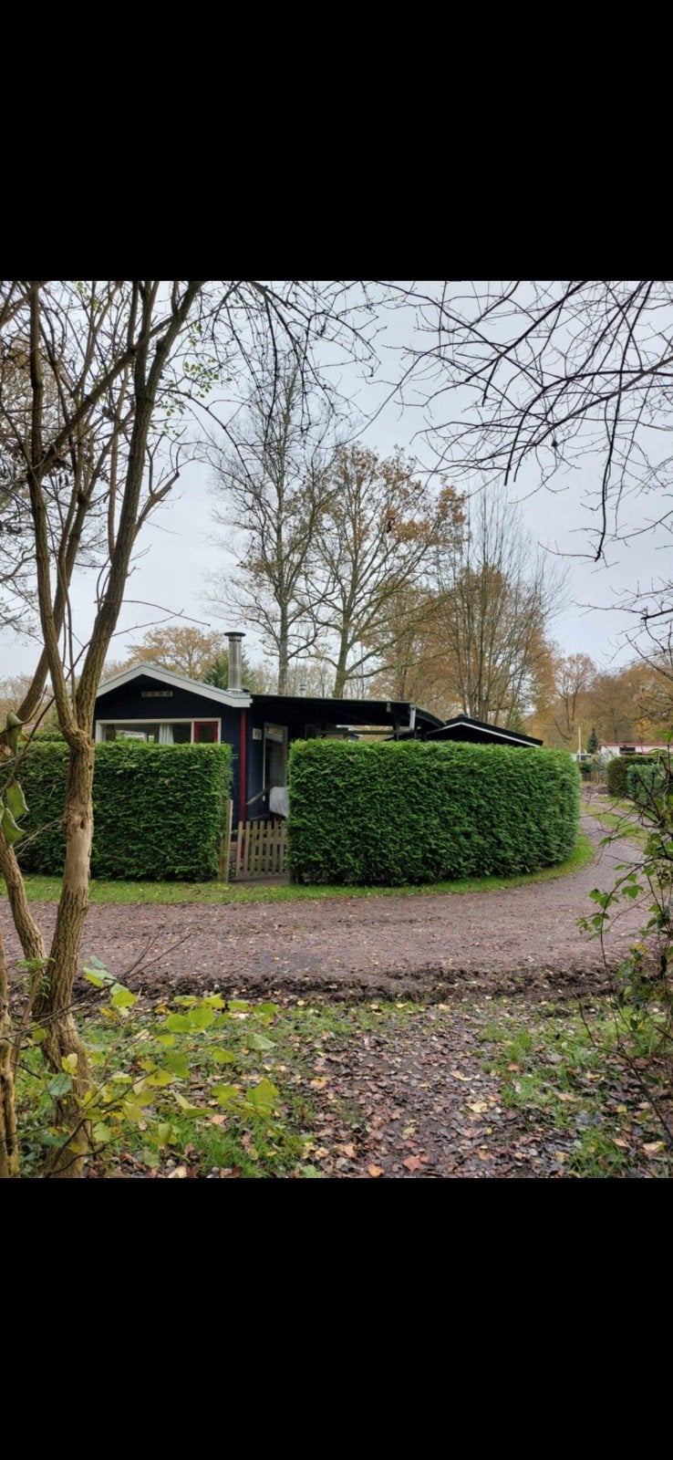 Te huur chalet in drentse wolt(wateren) midden in de bossen