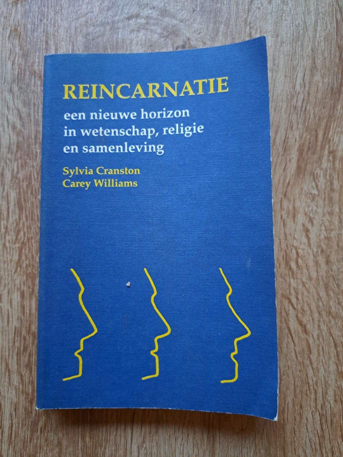 X2: Reïncarnatie: Een nieuw horizon in wetenschap, religie, Ophalen of Verzenden