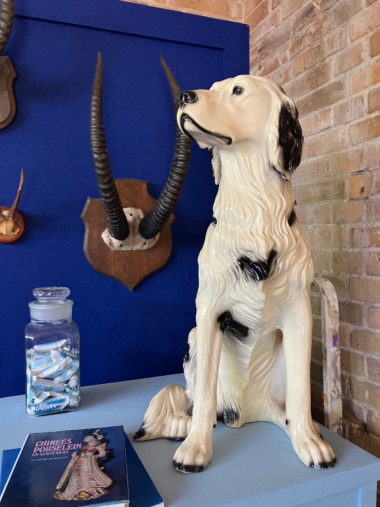 Vintage Italiaanse Hond, Ophalen
