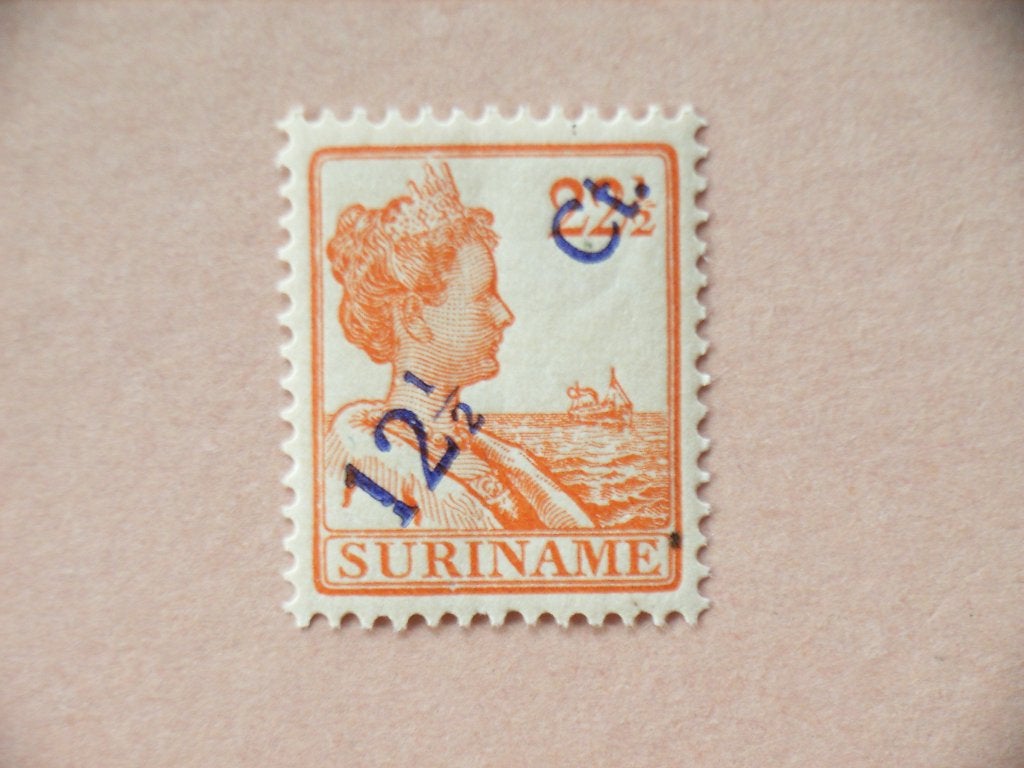 BL   Suriname 115 Pf, Ophalen of Verzenden, Postfris